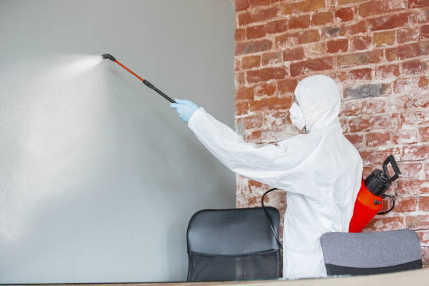Best Mold Prevention Services  in , SD