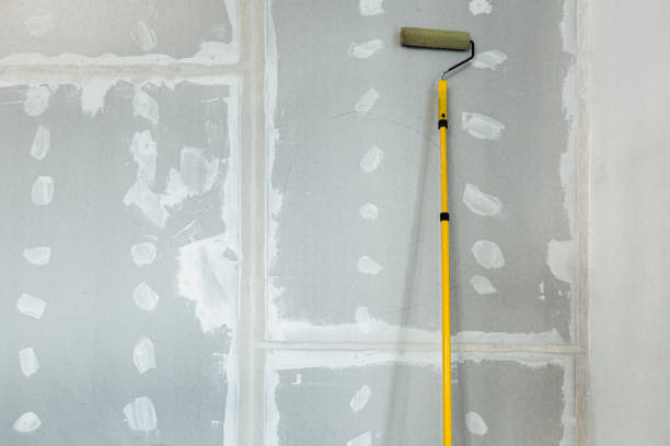 Best Post-Construction Mold Inspection  in , SD