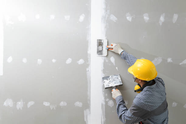 Best Biohazard Mold Removal  in , SD
