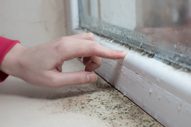 Best Biohazard Mold Removal  in , SD