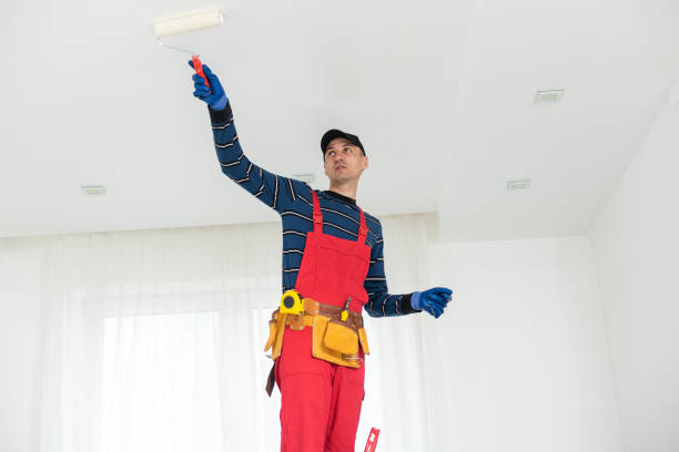 Best Dehumidification Services  in , SD