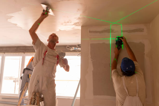 Best Emergency Mold Remediation  in , SD