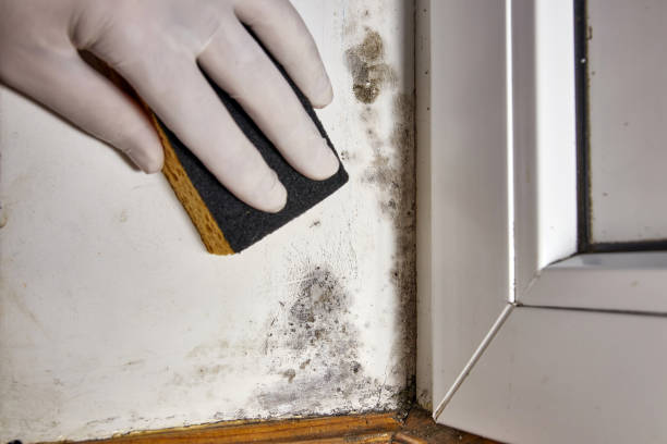 Best Indoor Air Quality Assessment  in , SD