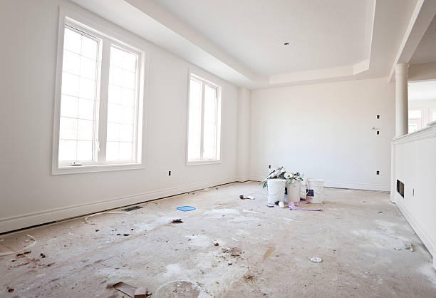 Best Mold Damage Restoration  in , SD