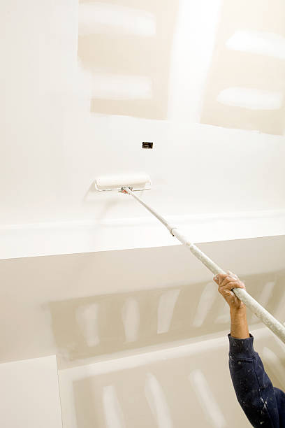 Best Mold Removal for HVAC Installations  in , SD