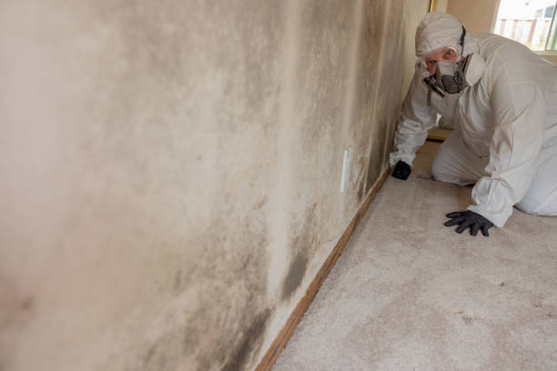 Best Real Estate Mold Inspection  in , SD