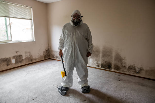 Best Attic Mold Removal  in , SD