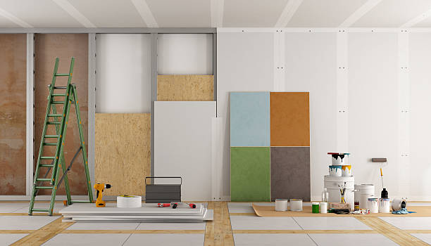Best Post-Construction Mold Inspection  in , SD