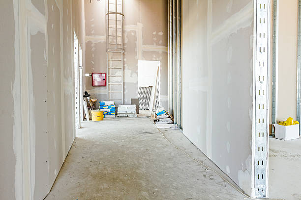 Best Commercial Mold Inspection  in , SD
