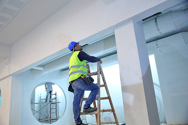 Best Mold Odor Removal Services  in , SD