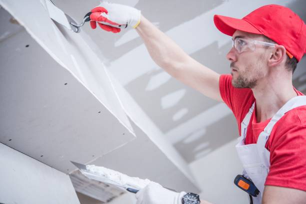 Best Dehumidification Services  in , SD